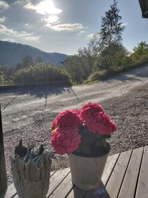 Apartmán Casa Monami Leilighet I Naturen Naer Bergen Lonevåg Exteriér fotografie